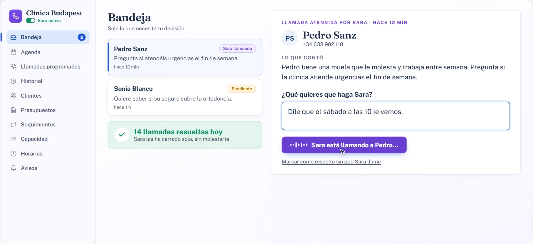 Pantalla Bandeja del panel de Hola Sara (datos de ejemplo)